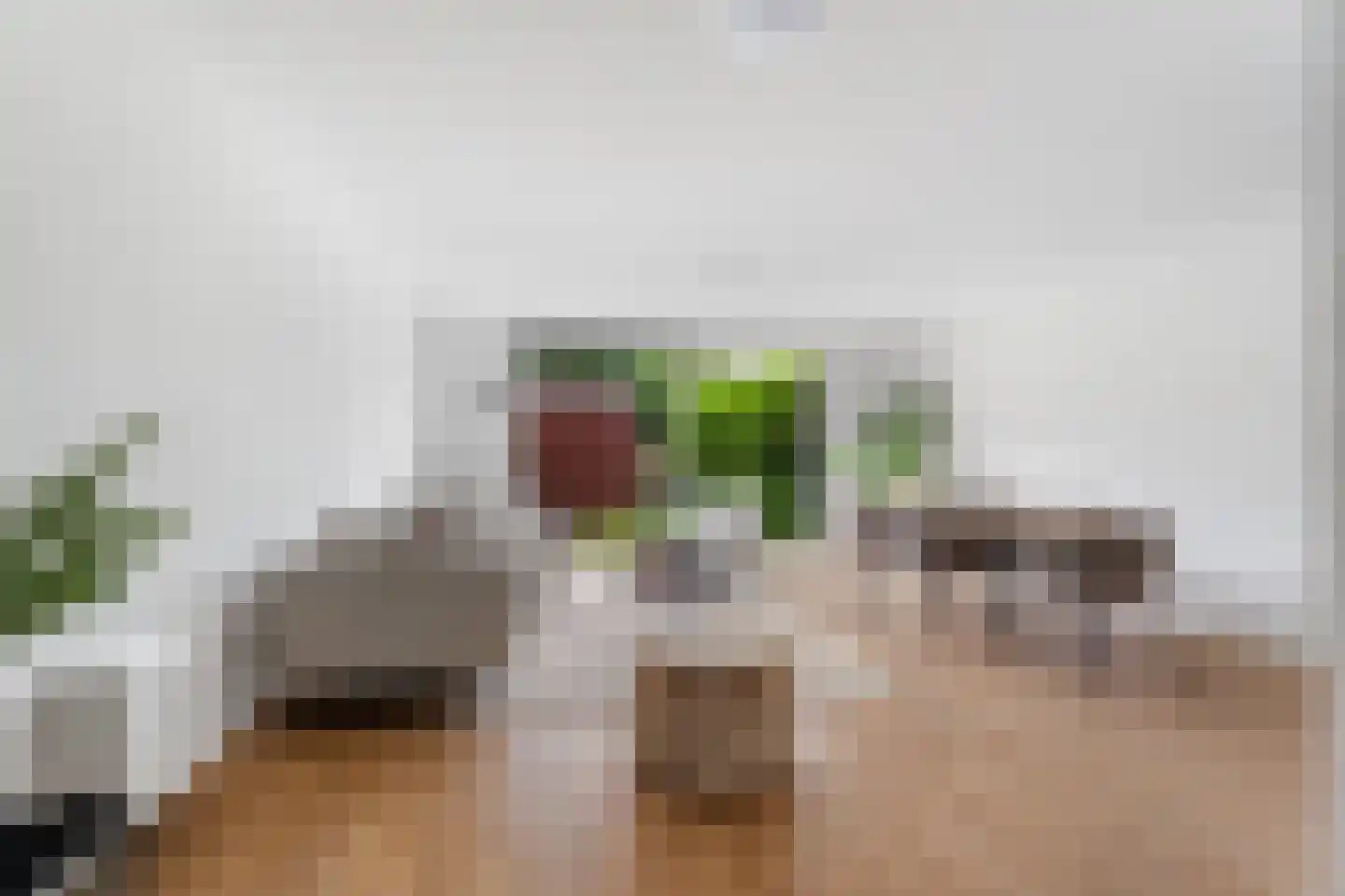 Raden Adjeng Kartinistraat 15 Amsterdam thumbnail 6