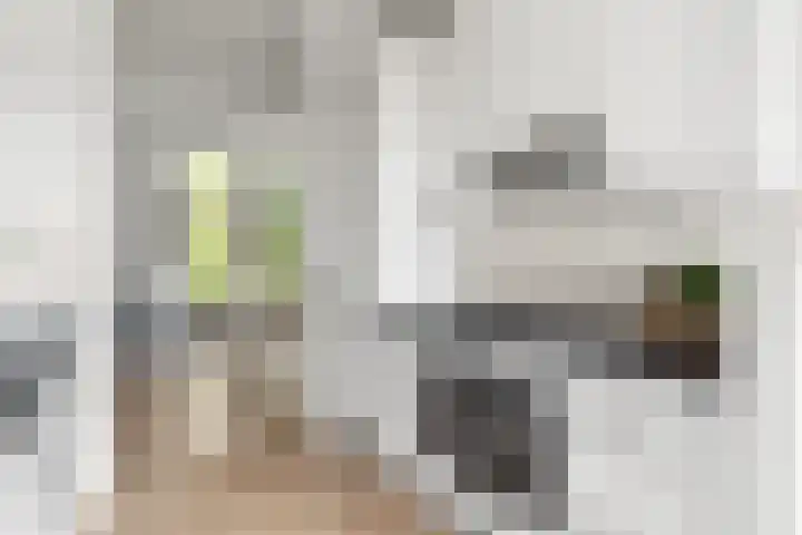 Raden Adjeng Kartinistraat 17 Amsterdam thumbnail 10