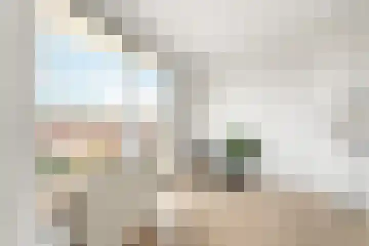 Raden Adjeng Kartinistraat 17 Amsterdam thumbnail 13