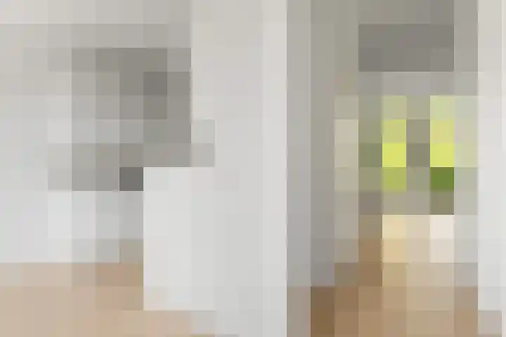 Raden Adjeng Kartinistraat 17 Amsterdam thumbnail 16
