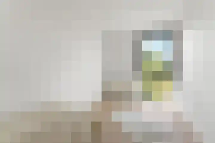 Raden Adjeng Kartinistraat 17 Amsterdam thumbnail 19