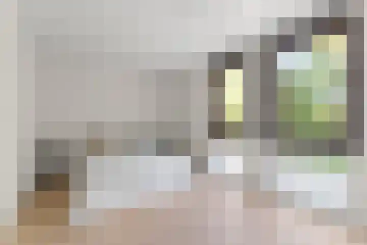 Raden Adjeng Kartinistraat 17 Amsterdam thumbnail 20