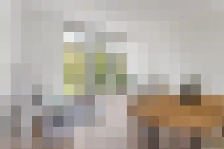 Raden Adjeng Kartinistraat 17 Amsterdam thumbnail 6