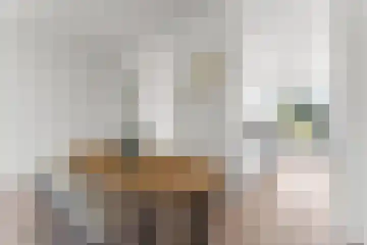 Raden Adjeng Kartinistraat 17 Amsterdam thumbnail 9