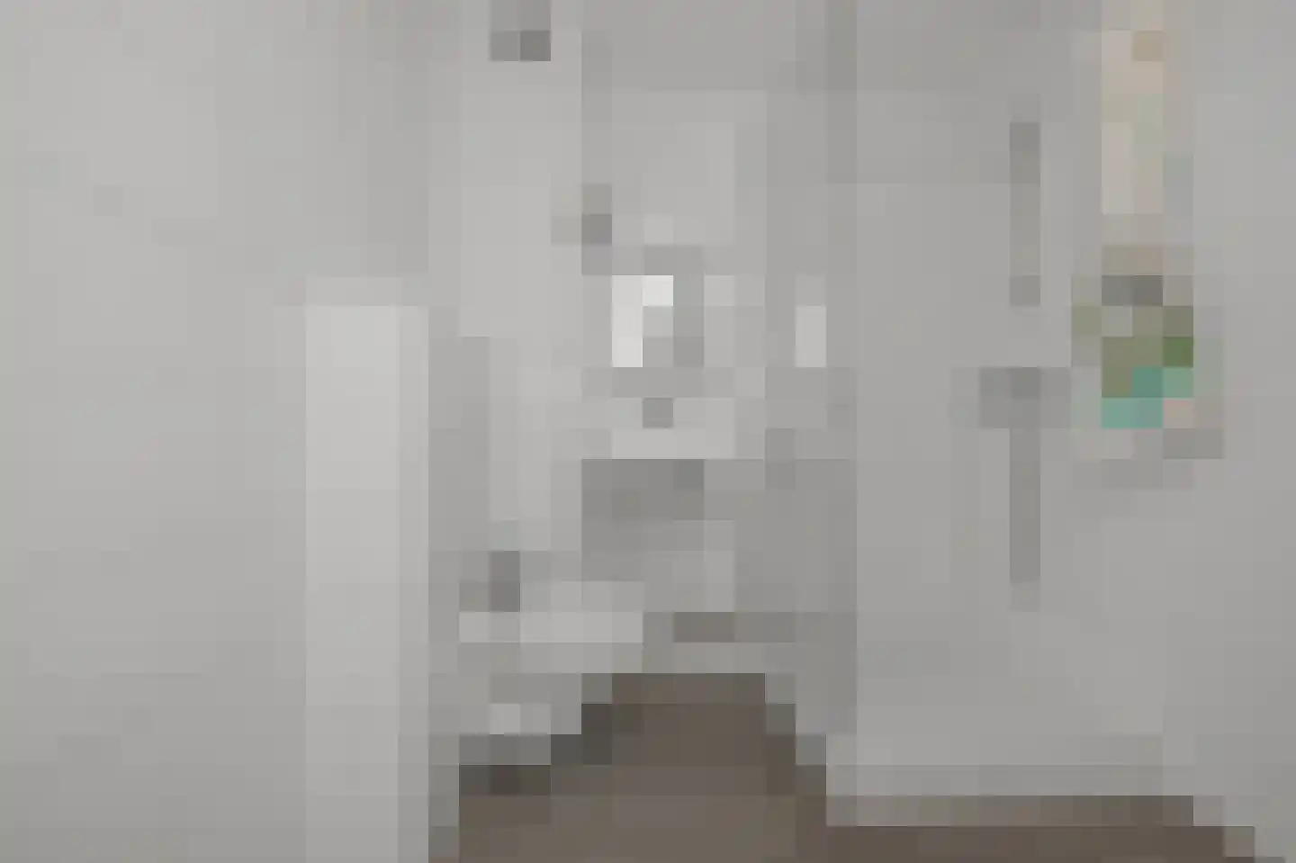 Raden Adjeng Kartinistraat 41 Amsterdam thumbnail 20
