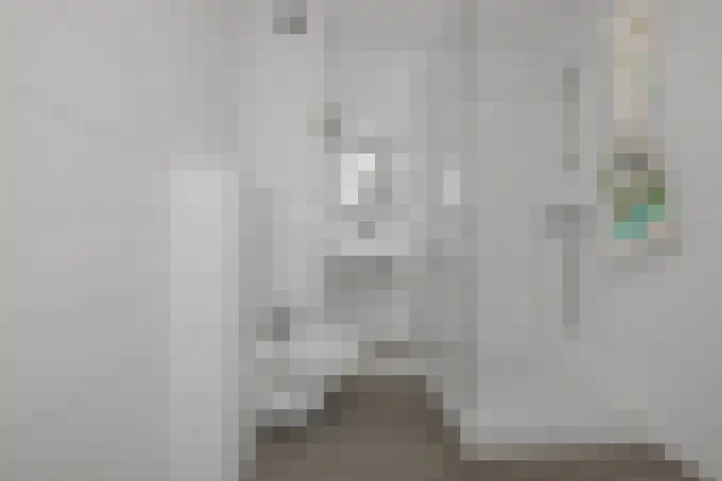 Raden Adjeng Kartinistraat 41 Amsterdam thumbnail 24