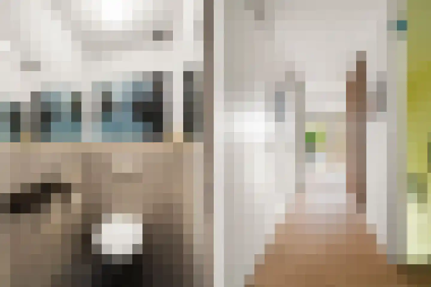 Raden Adjeng Kartinistraat 5 Amsterdam thumbnail 23
