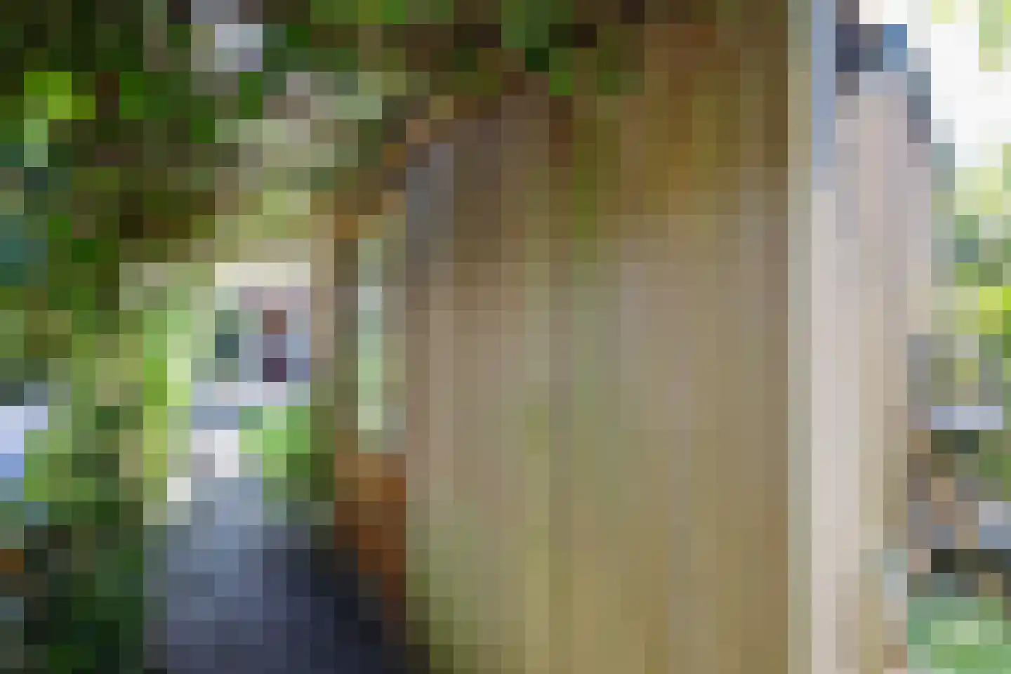 Raden Adjeng Kartinistraat 65 Amsterdam thumbnail 28