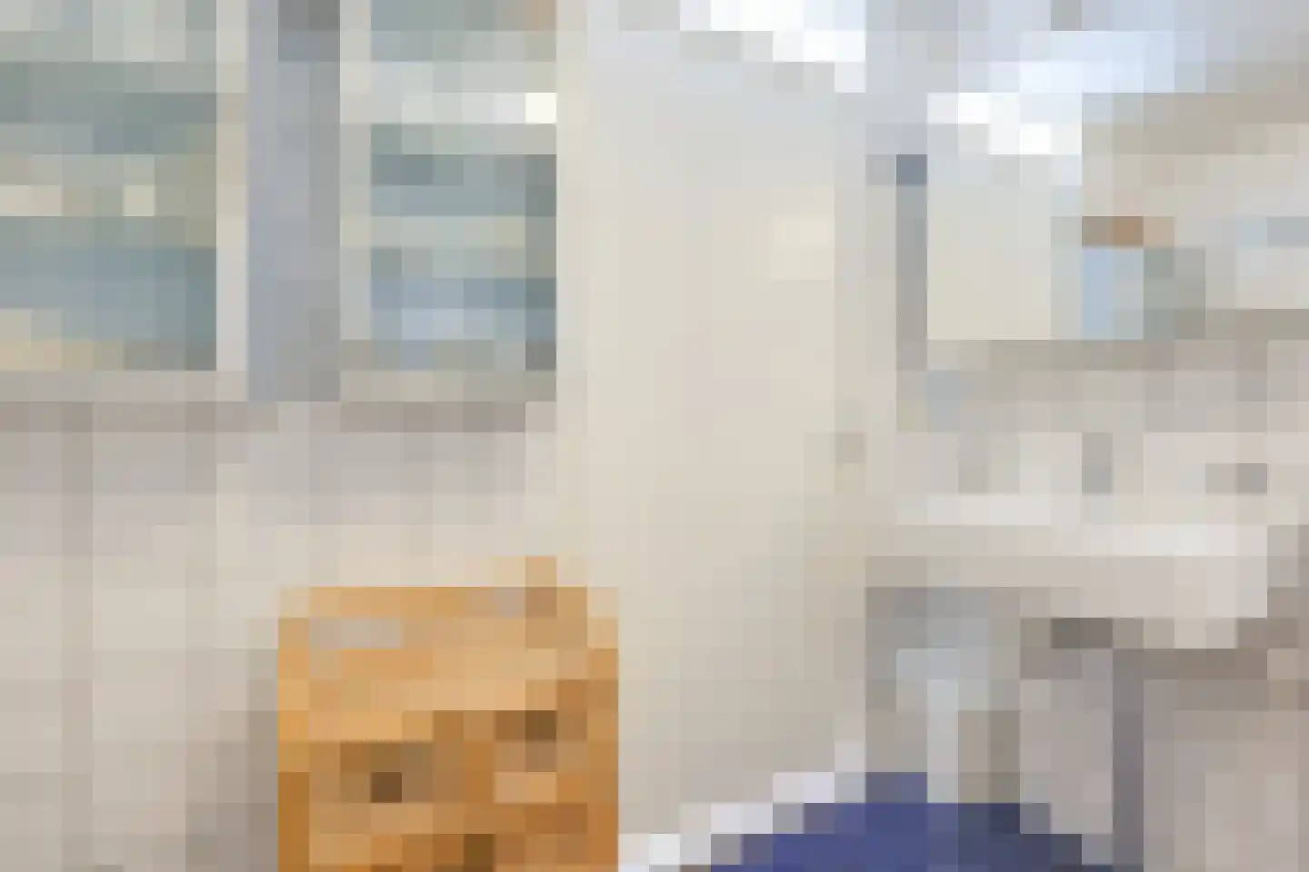 Raden Adjeng Kartinistraat 65 Amsterdam thumbnail 49