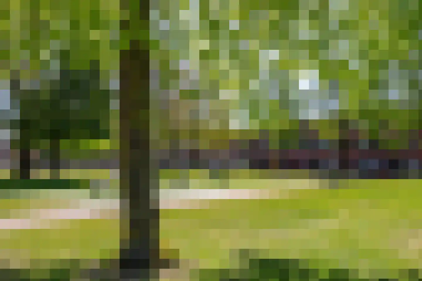 Raden Adjeng Kartinistraat 65 Amsterdam thumbnail 53