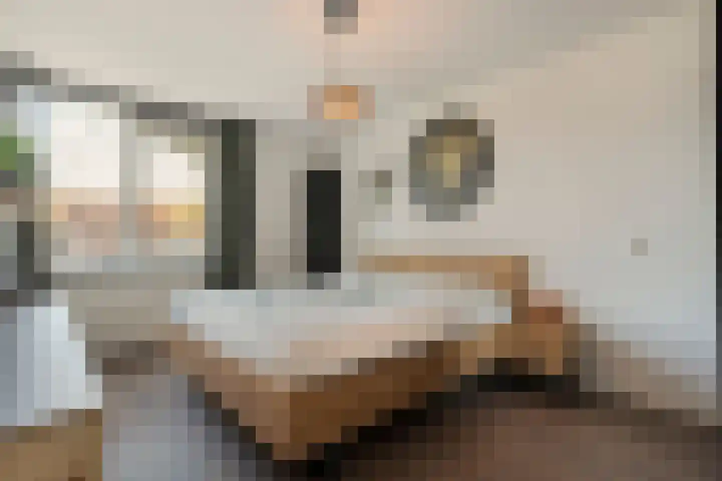 Radenlaan 38 Zwolle thumbnail 17