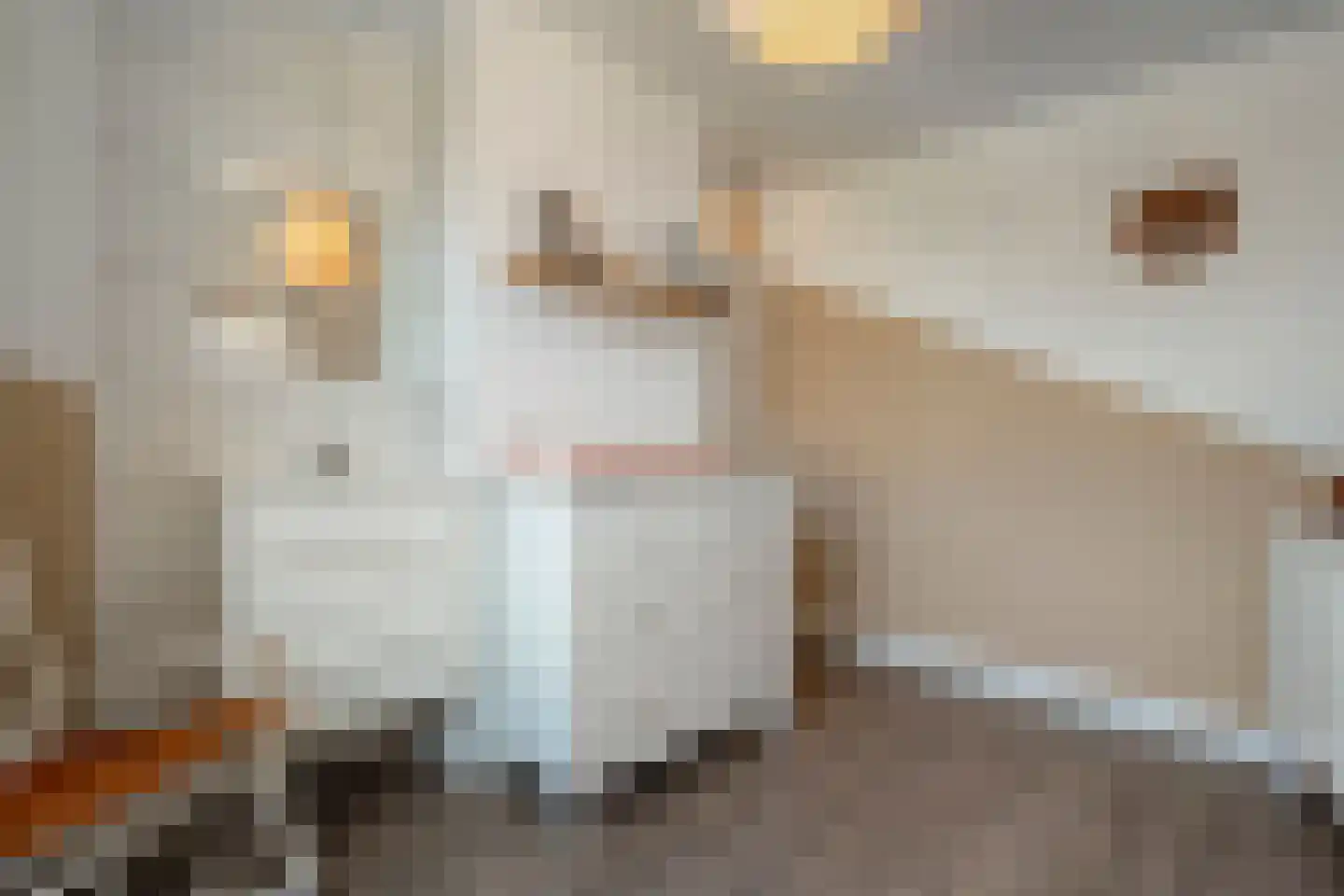 Radenlaan 38 Zwolle thumbnail 22