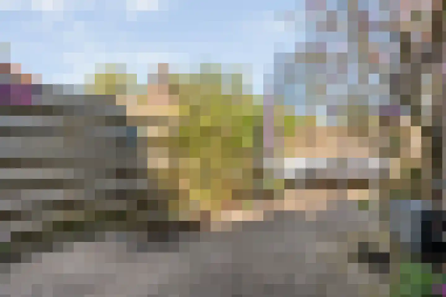 Radenlaan 38 Zwolle thumbnail 32