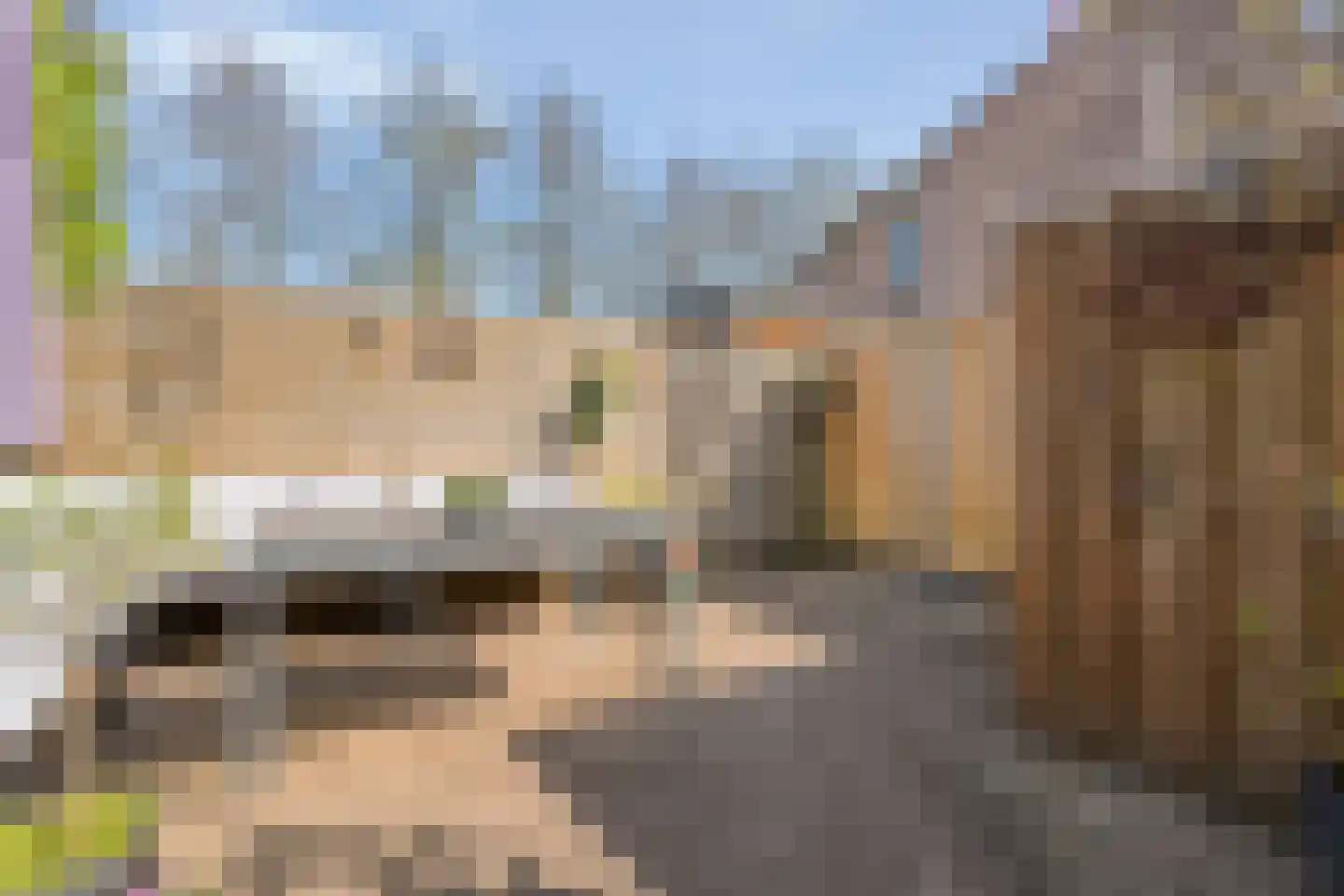 Radenlaan 38 Zwolle thumbnail 34