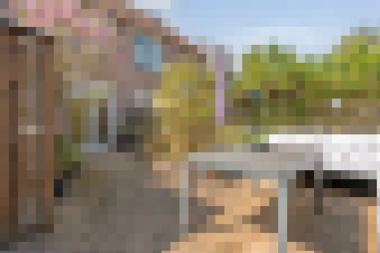 Radenlaan 38 Zwolle thumbnail 36