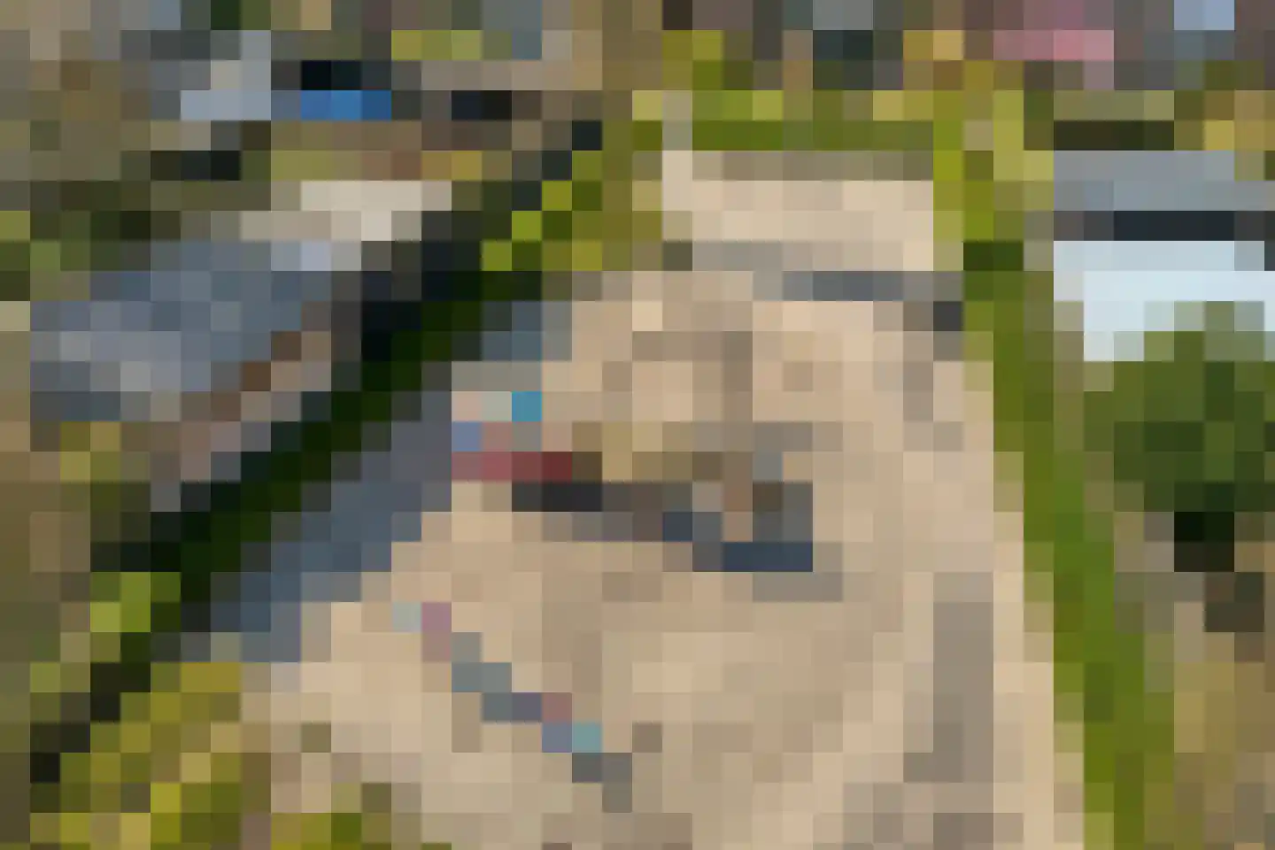 Radenlaan 38 Zwolle thumbnail 38