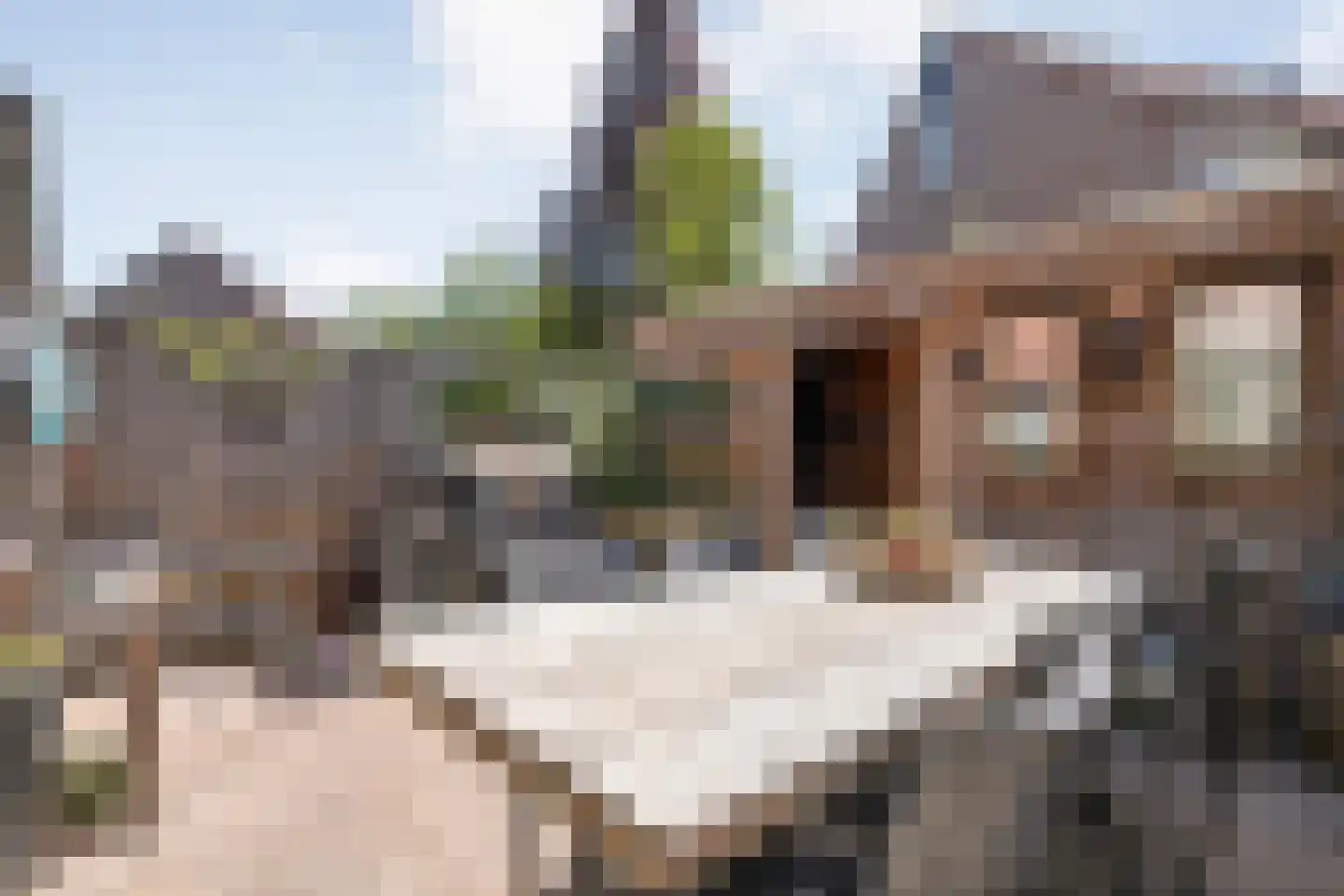 Radenlaan 45 Zwolle thumbnail 40