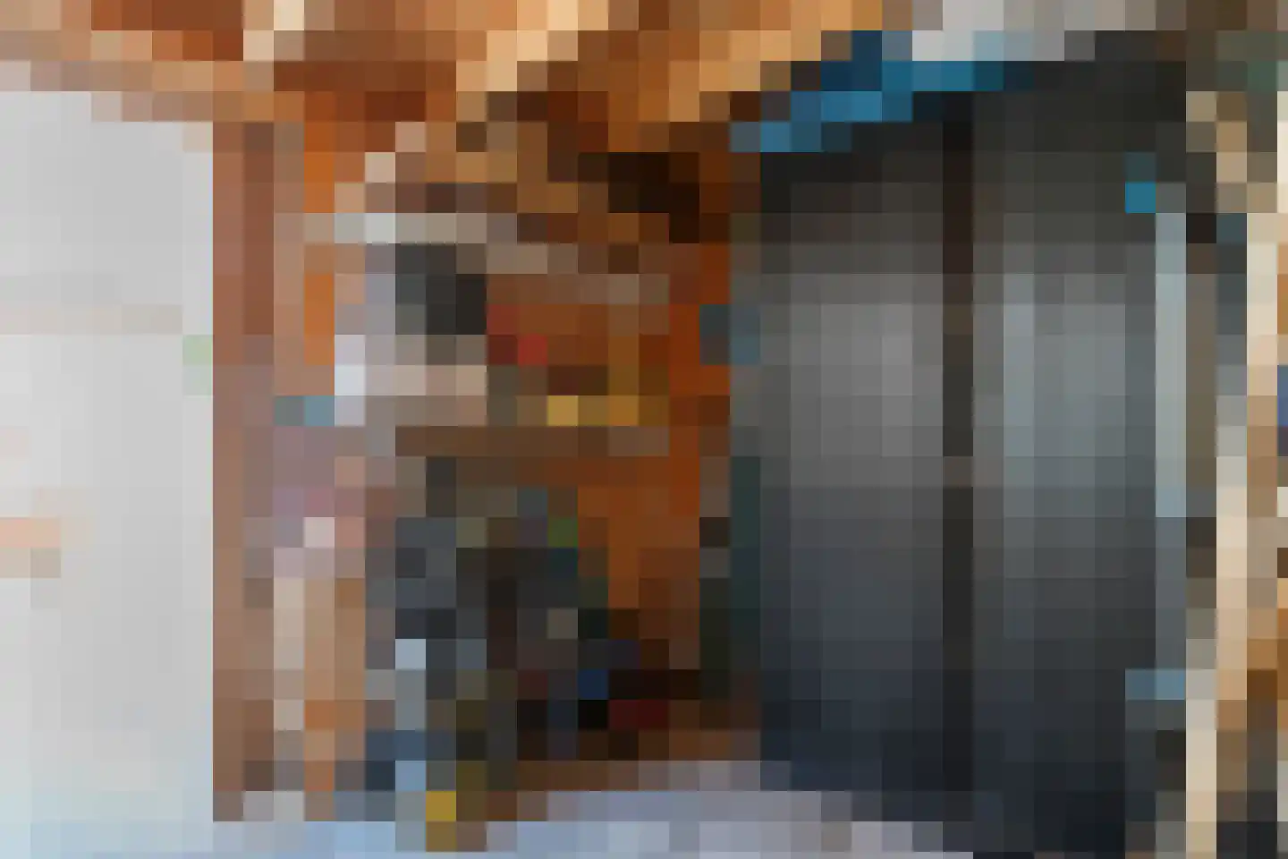 Radenlaan 45 Zwolle thumbnail 41