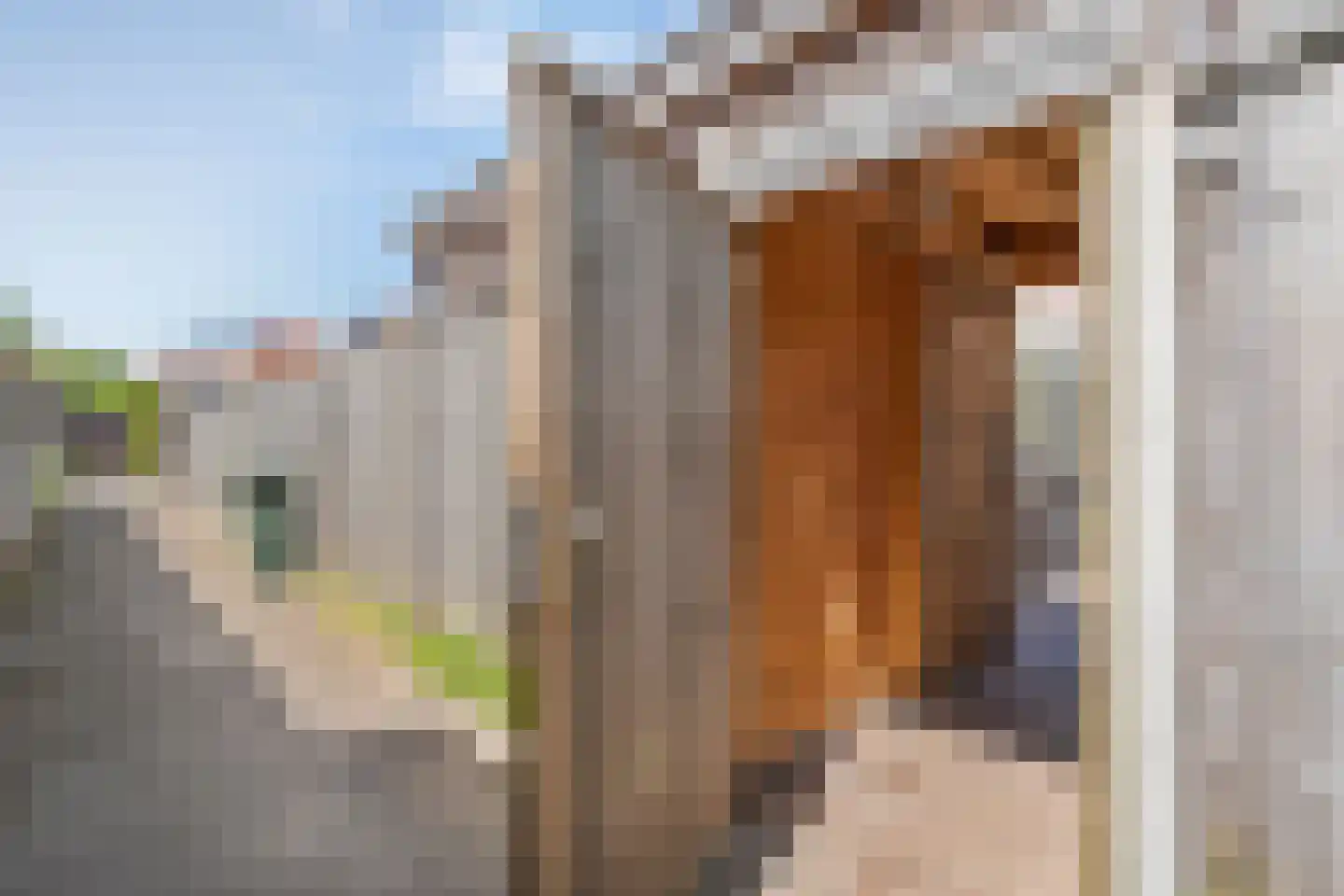 Radenlaan 45 Zwolle thumbnail 43