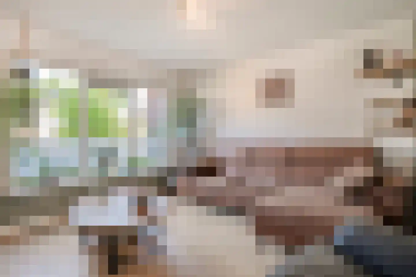 Radenlaan 45 Zwolle thumbnail 7
