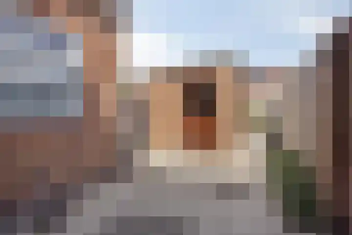 Radermacherstraat 22 Arnemuiden thumbnail 28