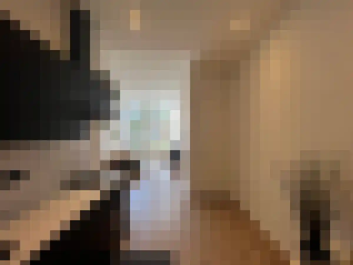Radesingel 26 Groningen thumbnail 6