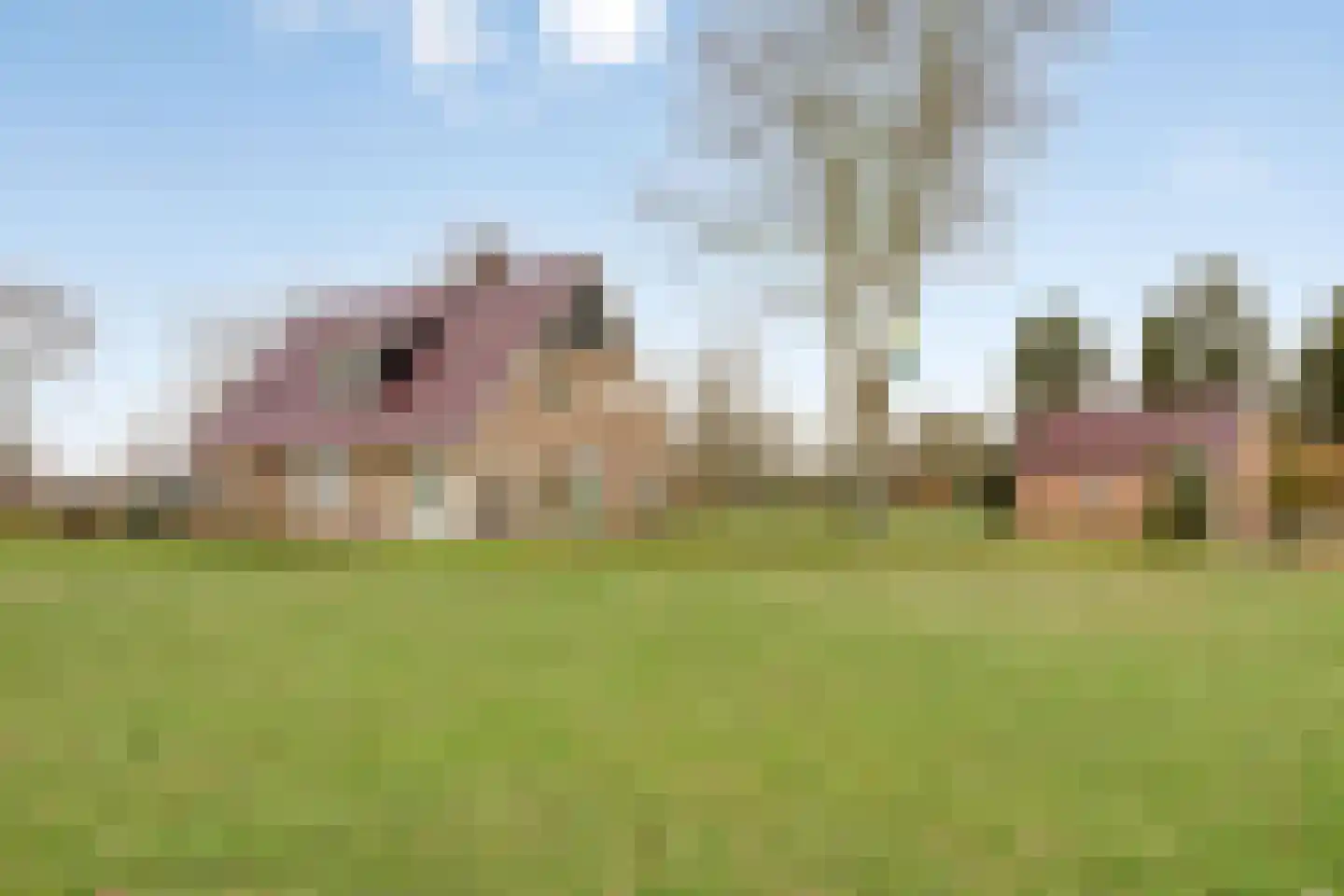 Radewijkerweg 18 Radewijk
