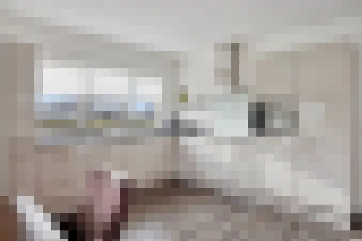 Radewijkerweg 18 Radewijk thumbnail 13