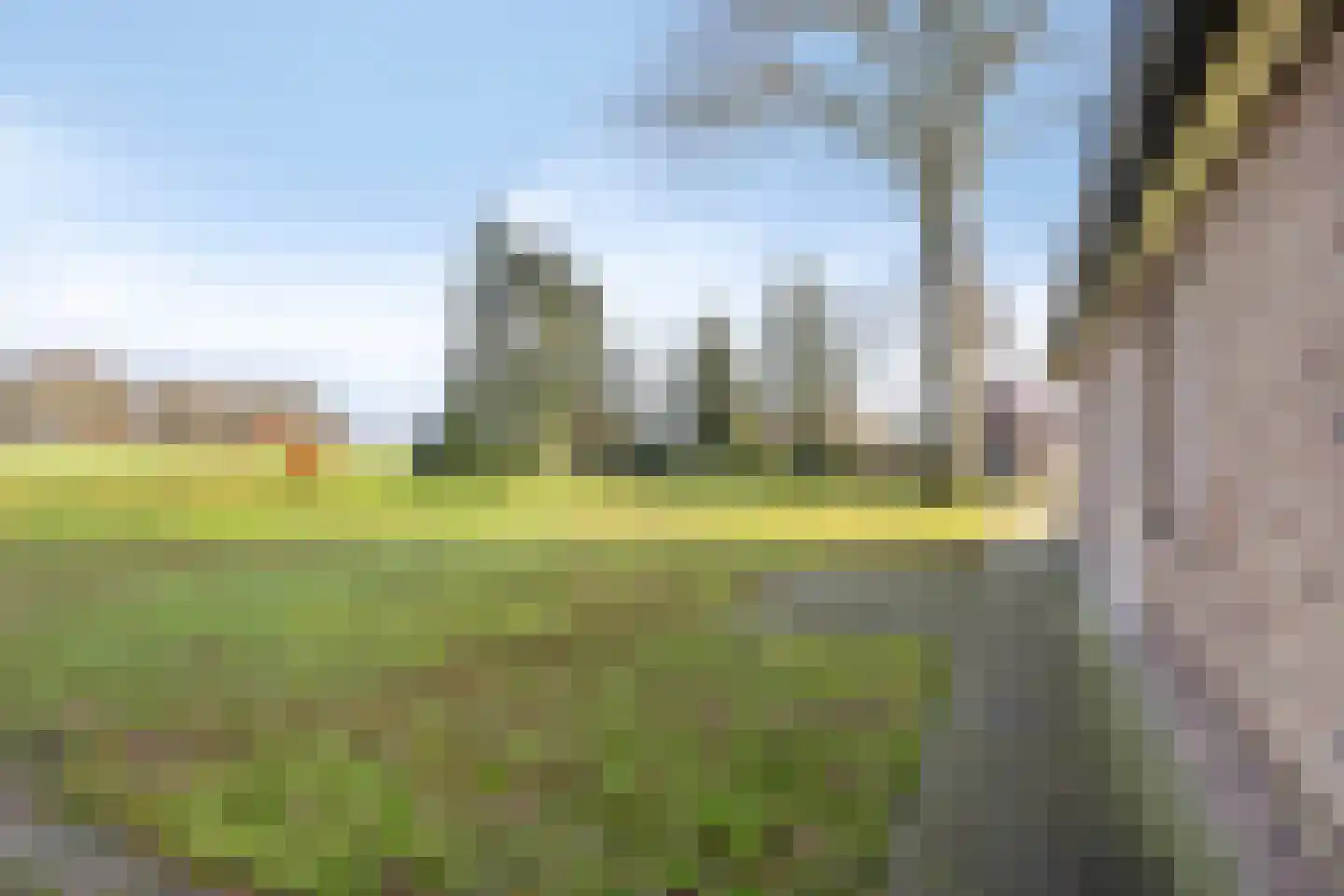 Radewijkerweg 18 Radewijk thumbnail 40