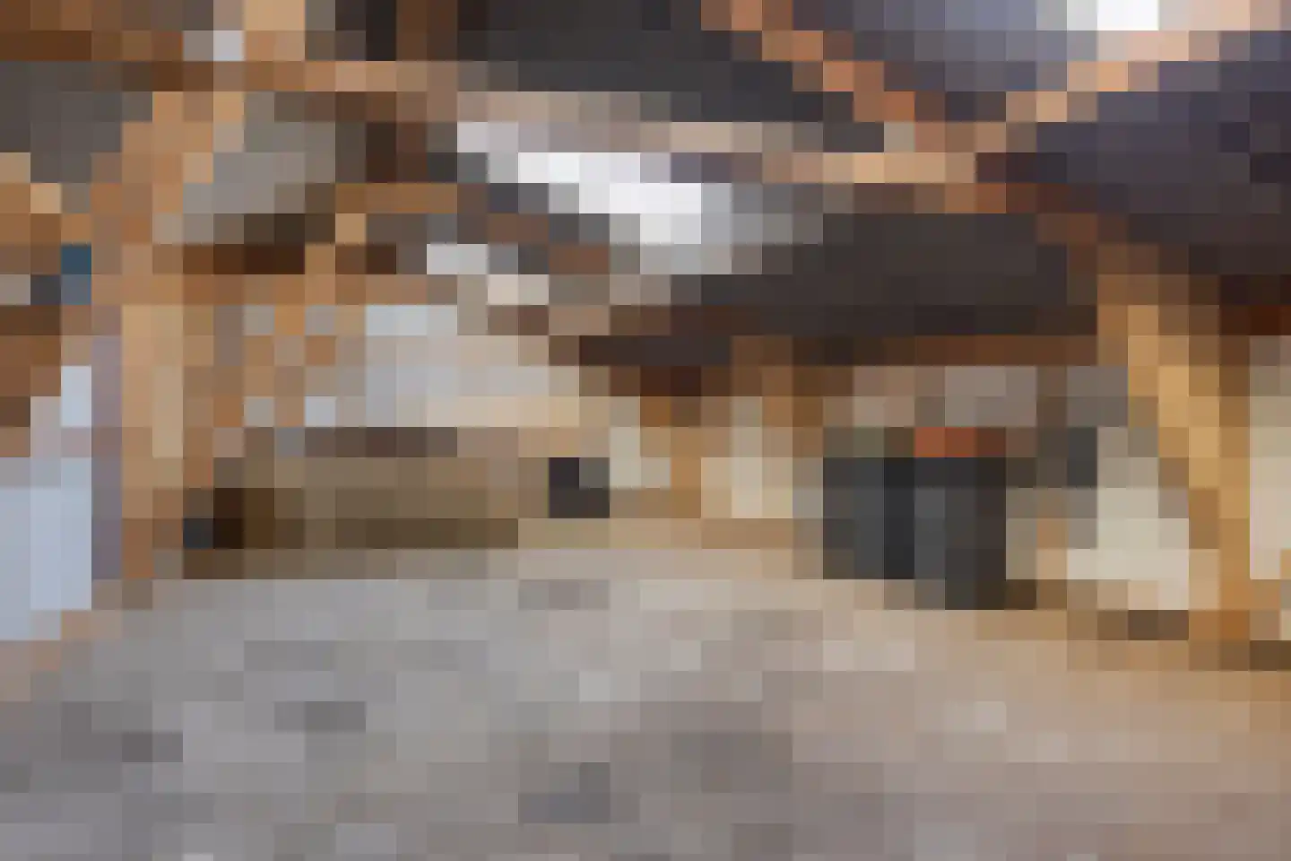 Radewijkerweg 18 Radewijk thumbnail 51