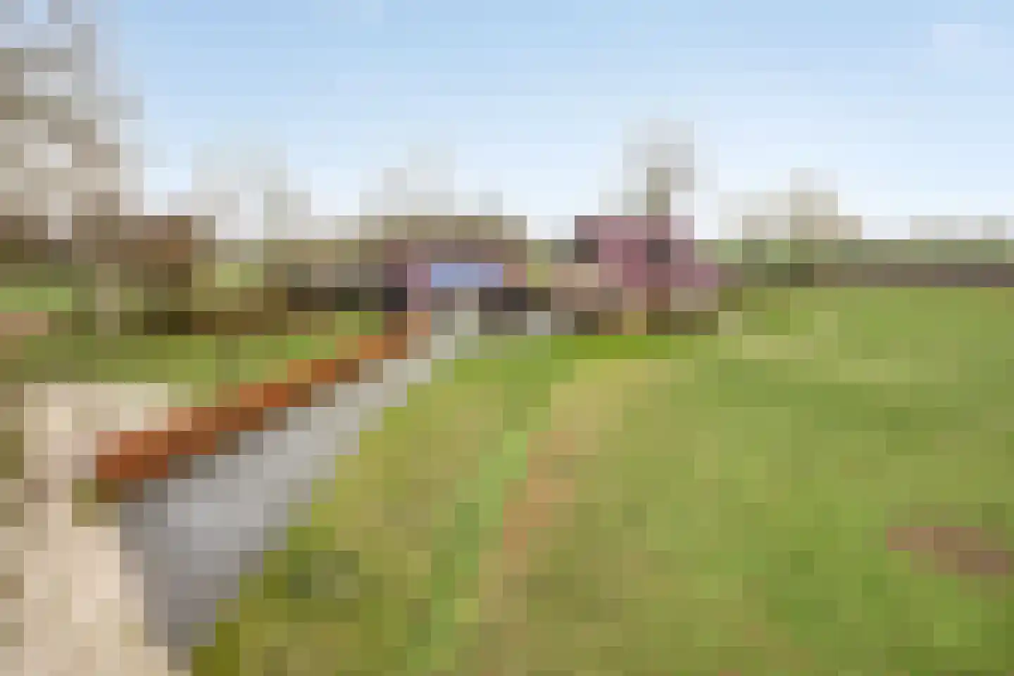 Radewijkerweg 18 Radewijk thumbnail 57
