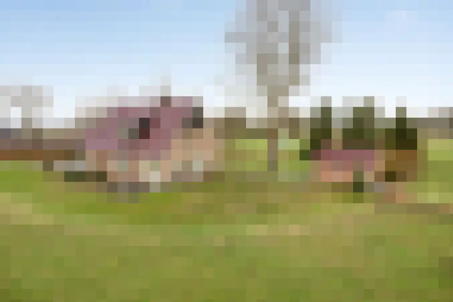 Radewijkerweg 18 Radewijk thumbnail 58