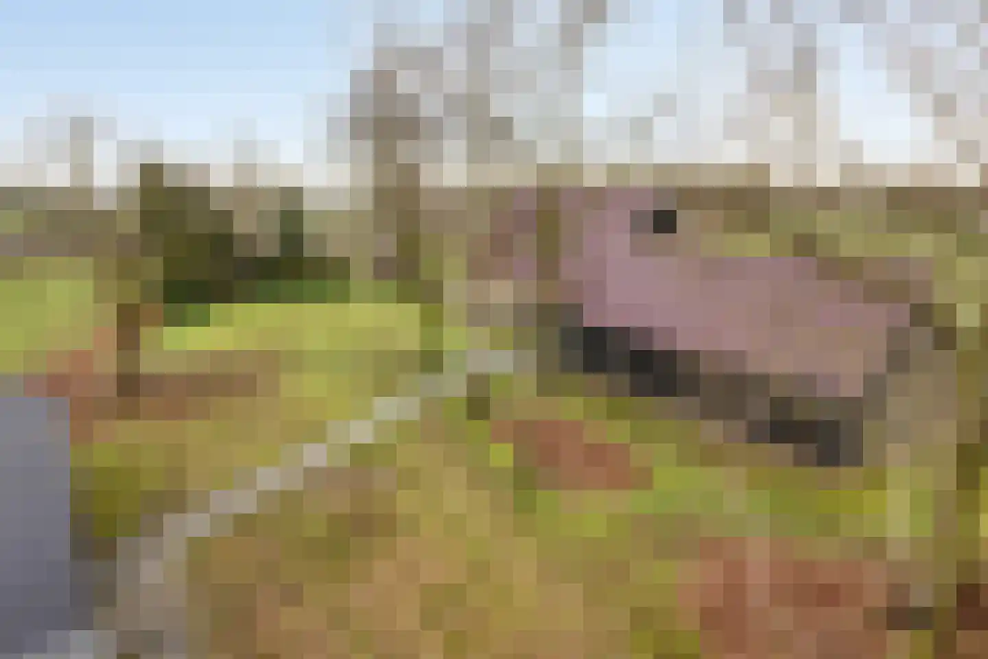 Radewijkerweg 18 Radewijk thumbnail 59