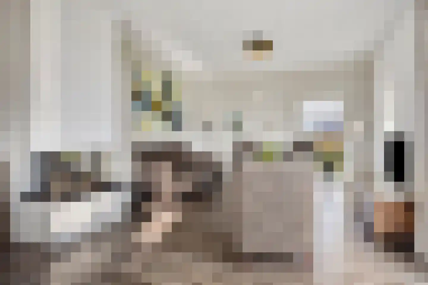 Radewijkerweg 18 Radewijk thumbnail 6