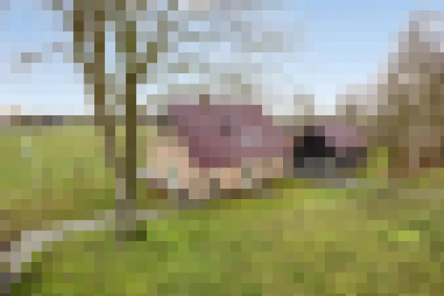 Radewijkerweg 18 Radewijk thumbnail 60