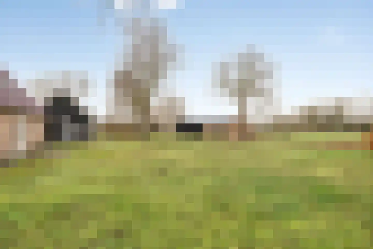 Radewijkerweg 18 Radewijk thumbnail 61