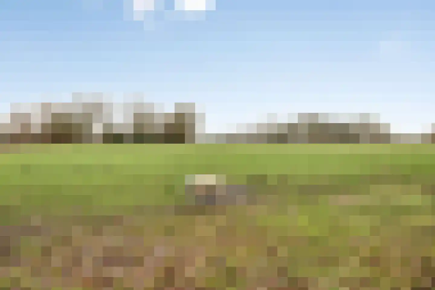 Radewijkerweg 18 Radewijk thumbnail 64