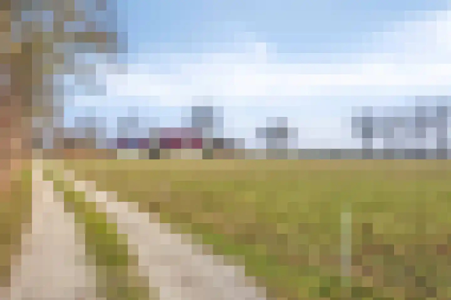 Radewijkerweg 18 Radewijk thumbnail 68