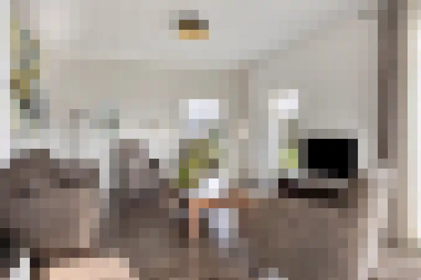 Radewijkerweg 18 Radewijk thumbnail 7