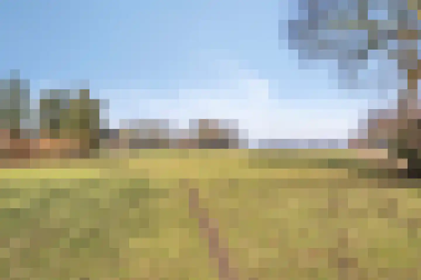 Radewijkerweg 18 Radewijk thumbnail 75