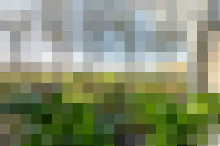 Radewijkerweg 40 Radewijk thumbnail 12