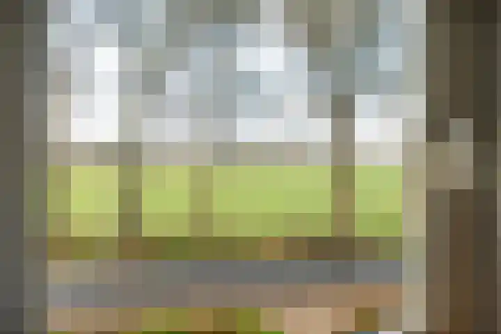 Radewijkerweg 40 Radewijk thumbnail 31