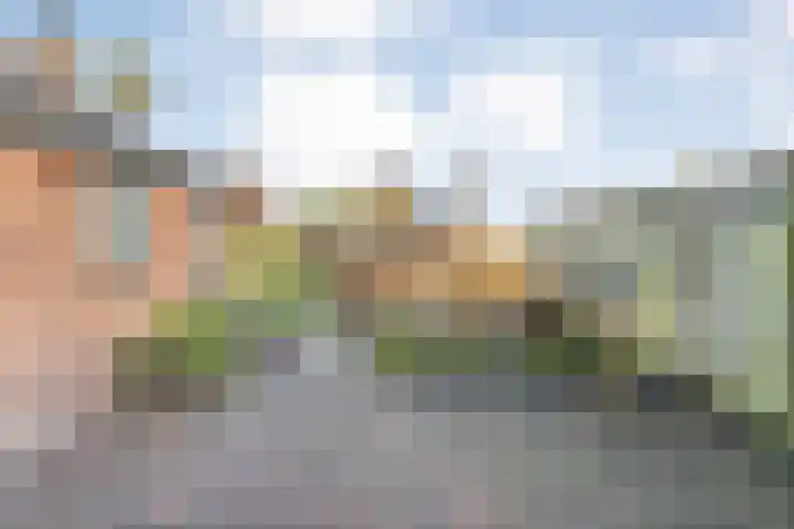 Radewijkerweg 40 Radewijk thumbnail 42