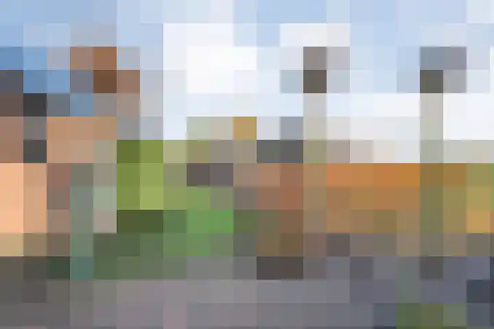 Radewijkerweg 40 Radewijk thumbnail 43