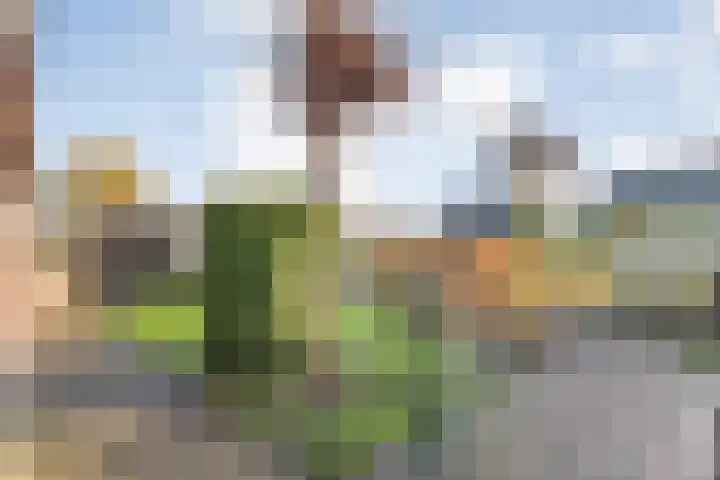 Radewijkerweg 40 Radewijk thumbnail 45