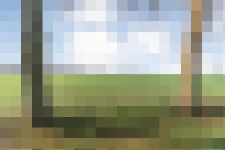 Radewijkerweg 40 Radewijk thumbnail 5