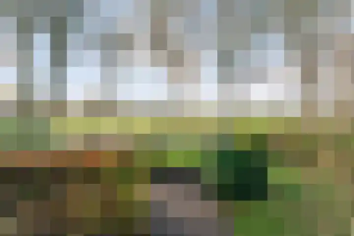 Radewijkerweg 40 Radewijk thumbnail 6