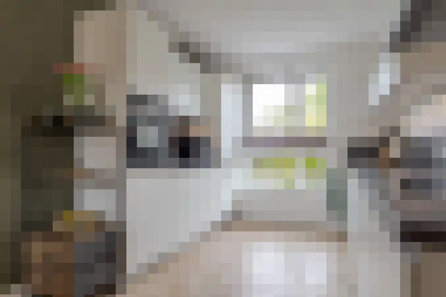 Radewijnsstraat 29 Zwolle thumbnail 31