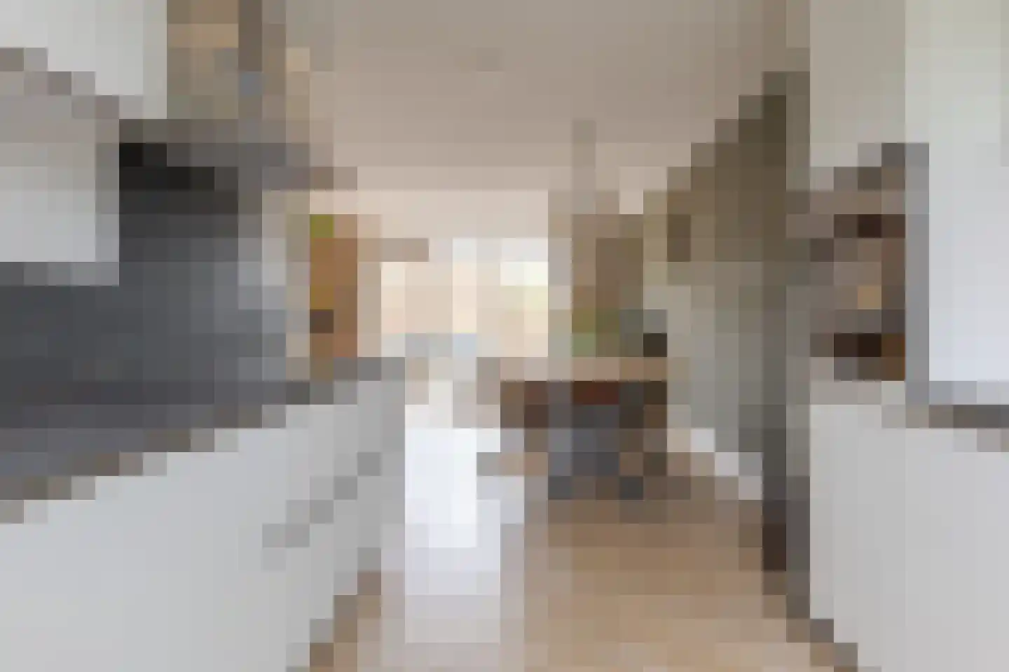 Radewijnsstraat 29 Zwolle thumbnail 32