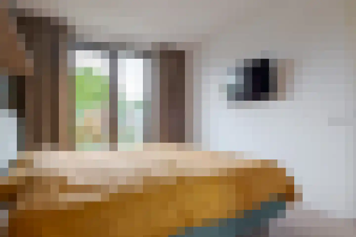 Radewijnsstraat 29 Zwolle thumbnail 41